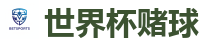 2026FIFA世界杯亚洲投注平台